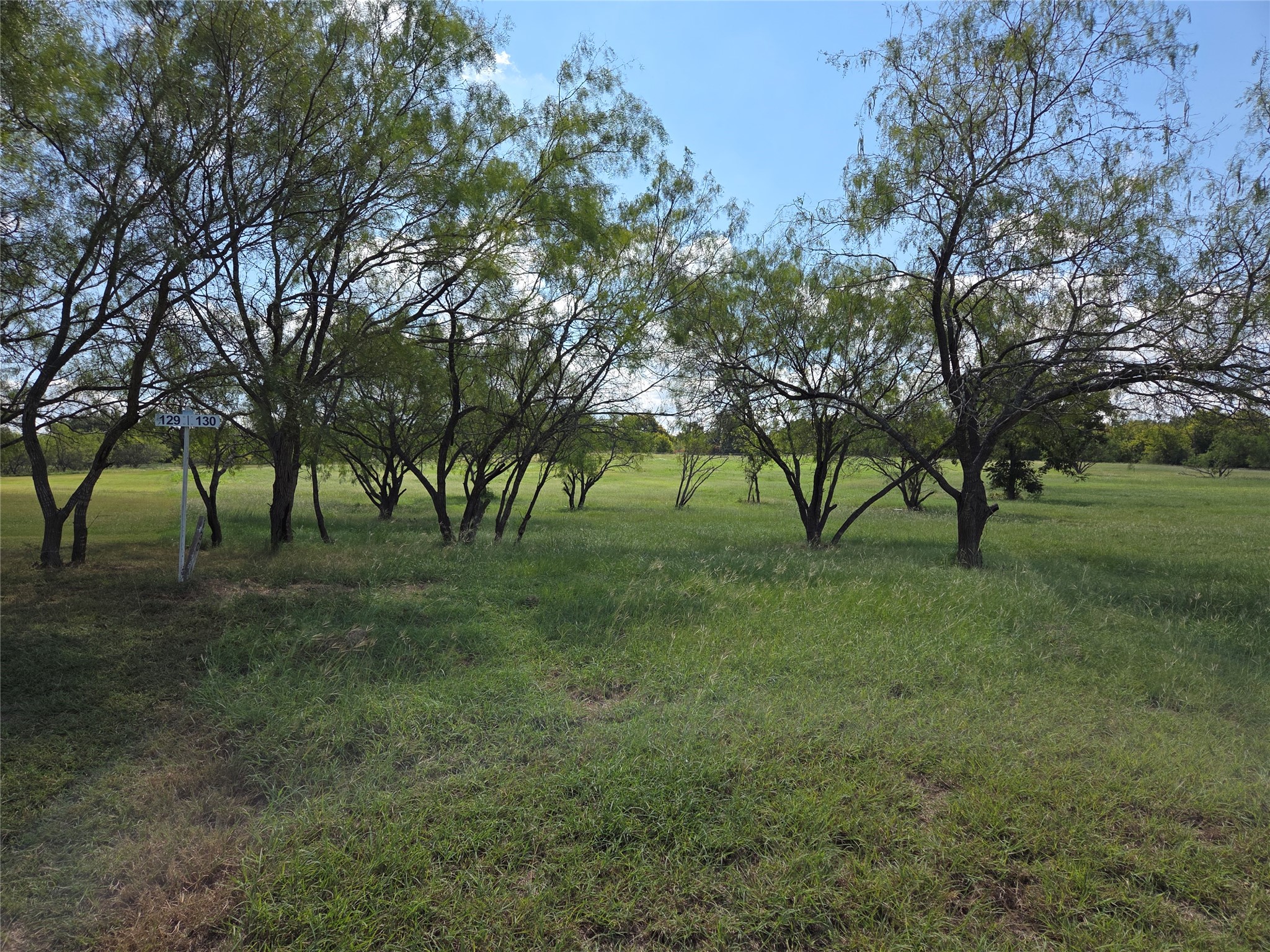 Lot 130 Lake Vista Drive Streetman TX 75859