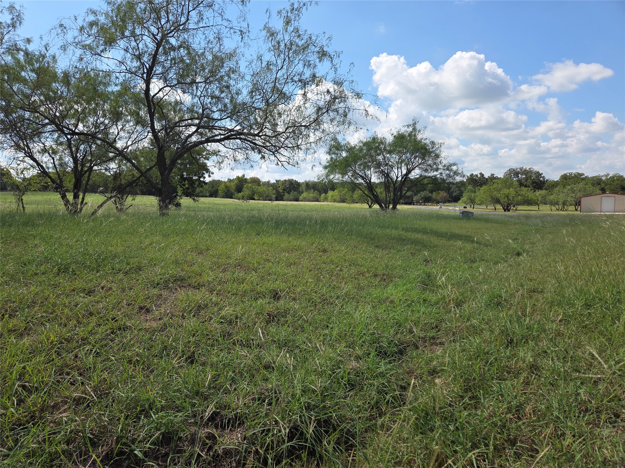Lot 130 Lake Vista Drive Streetman TX 75859