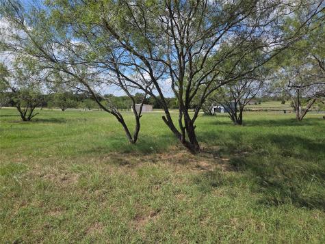 Lot 130 Lake Vista Drive Streetman TX 75859