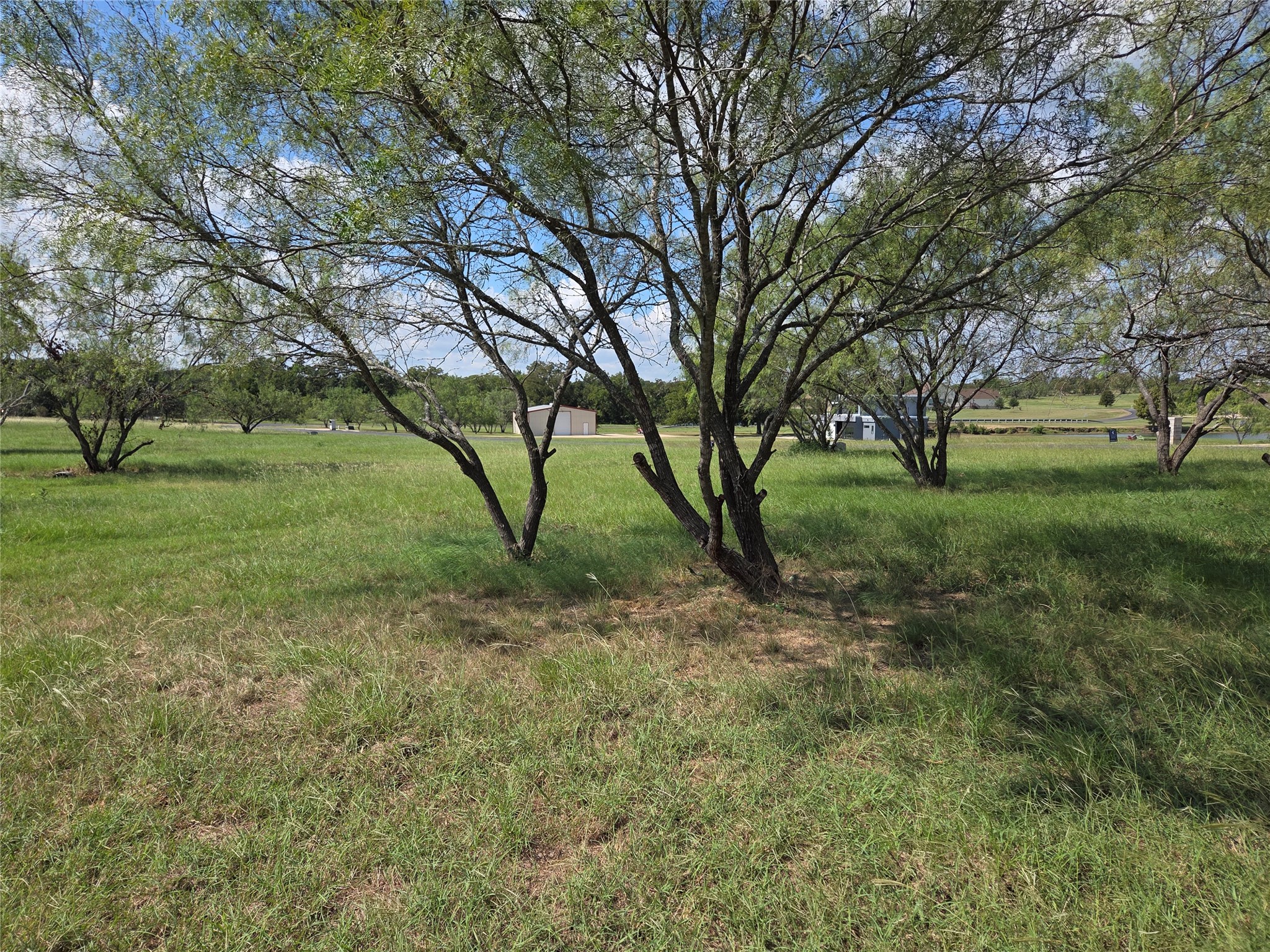 Lot 130 Lake Vista Drive Streetman TX 75859