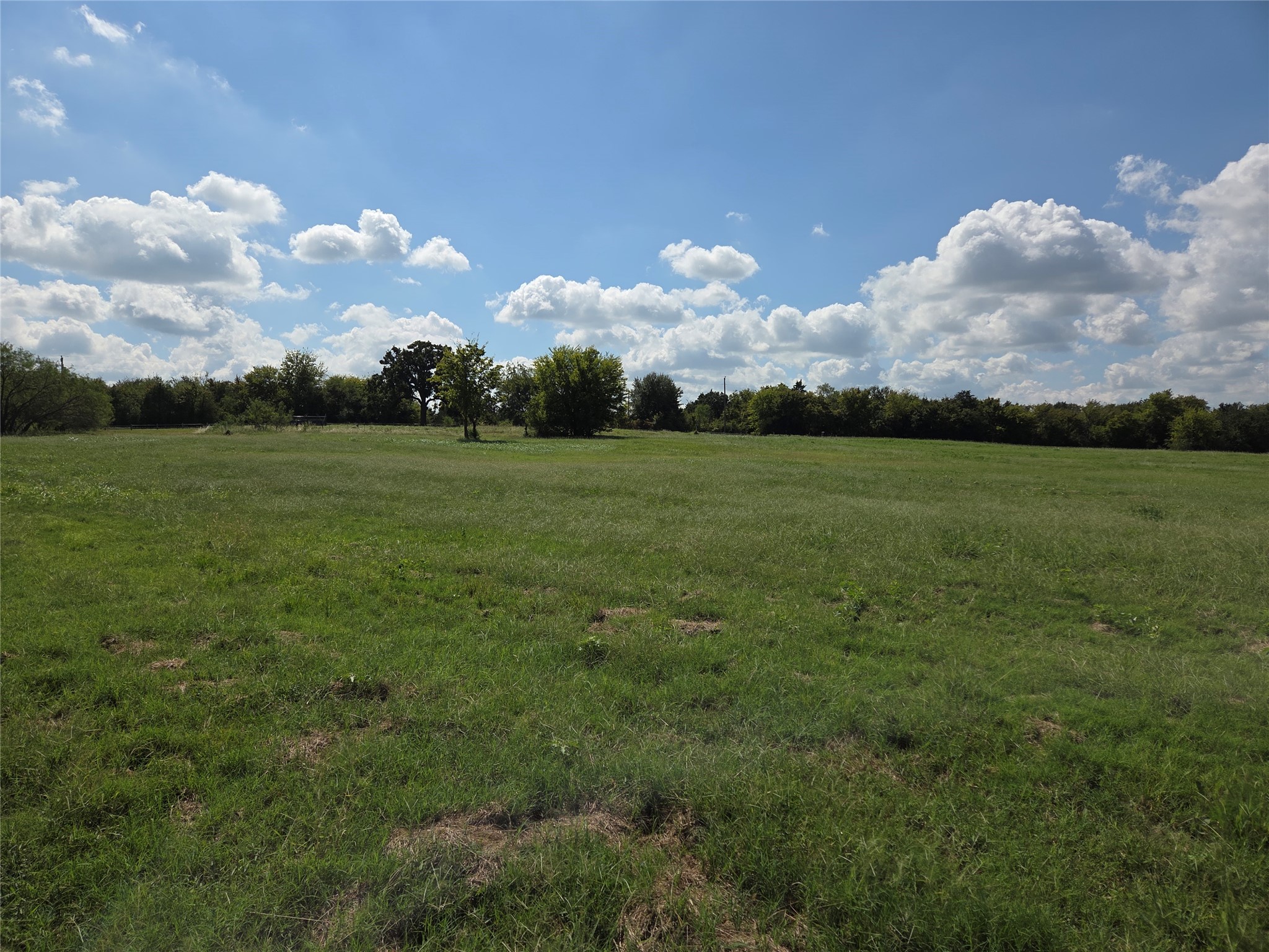 Lot 130 Lake Vista Drive Streetman TX 75859
