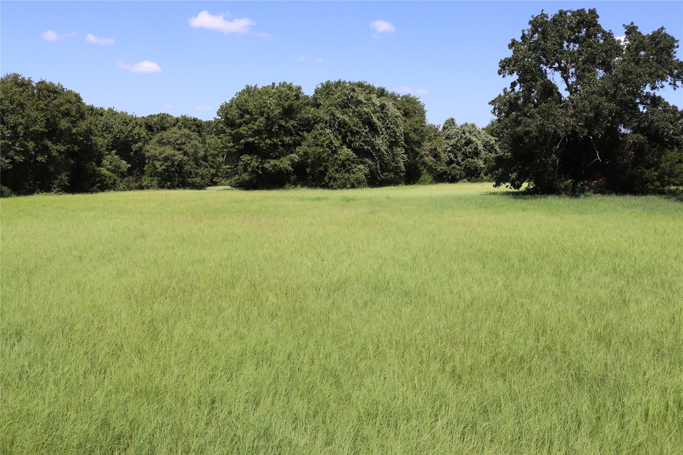 36 Acres Fm 1749 Sunset TX 76270
