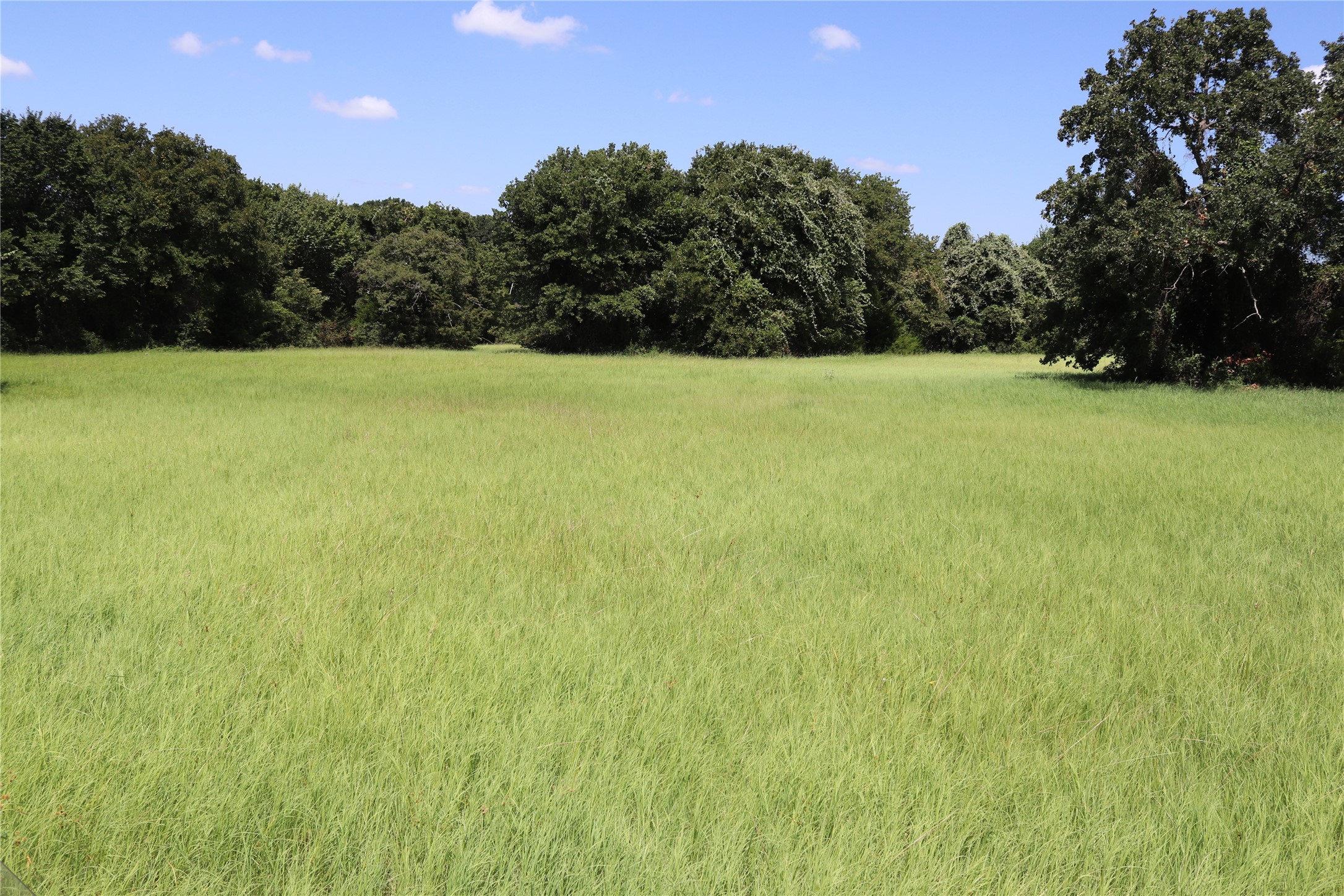 36 Acres Fm 1749 Sunset TX 76270
