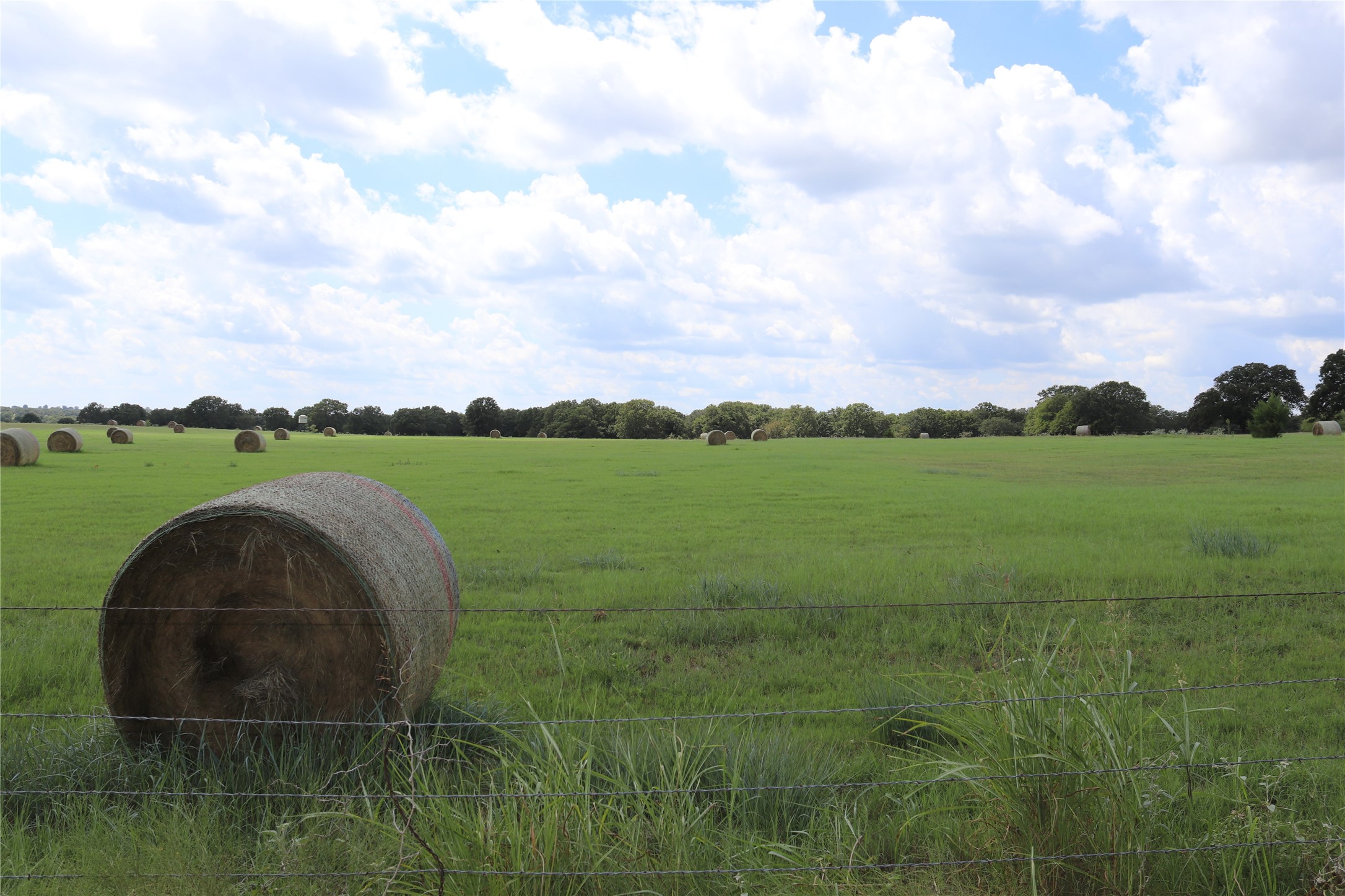 36 Acres Fm 1749 Sunset TX 76270