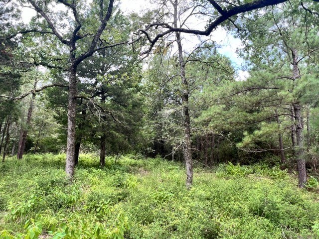 Lot 33 High View Drive E Fairfield TX 75840