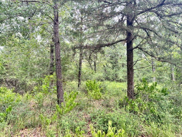 Lot 33 High View Drive E Fairfield TX 75840