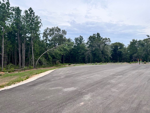 Lot 33 High View Drive E Fairfield TX 75840