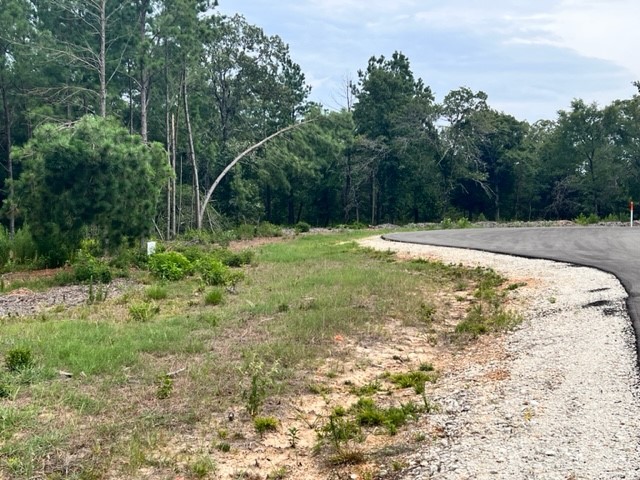 Lot 33 High View Drive E Fairfield TX 75840