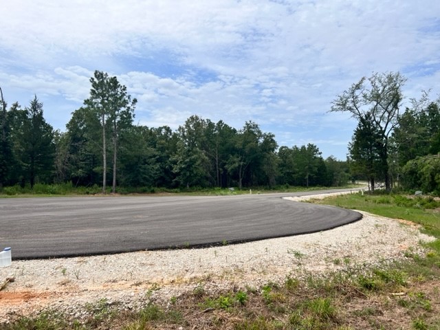Lot 33 High View Drive E Fairfield TX 75840