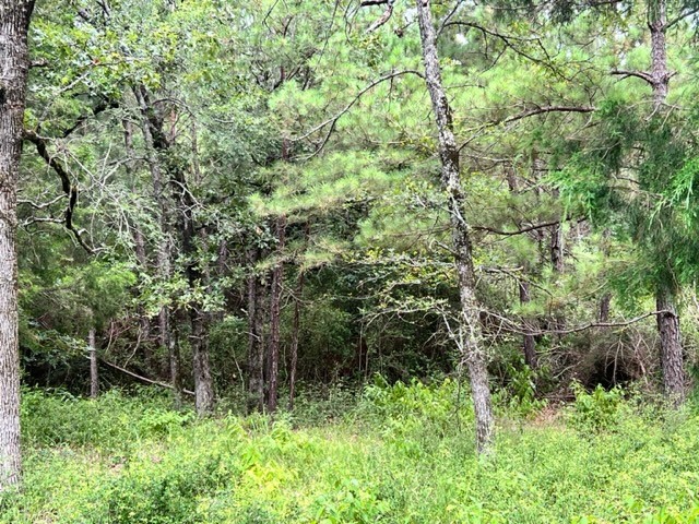Lot 33 High View Drive E Fairfield TX 75840