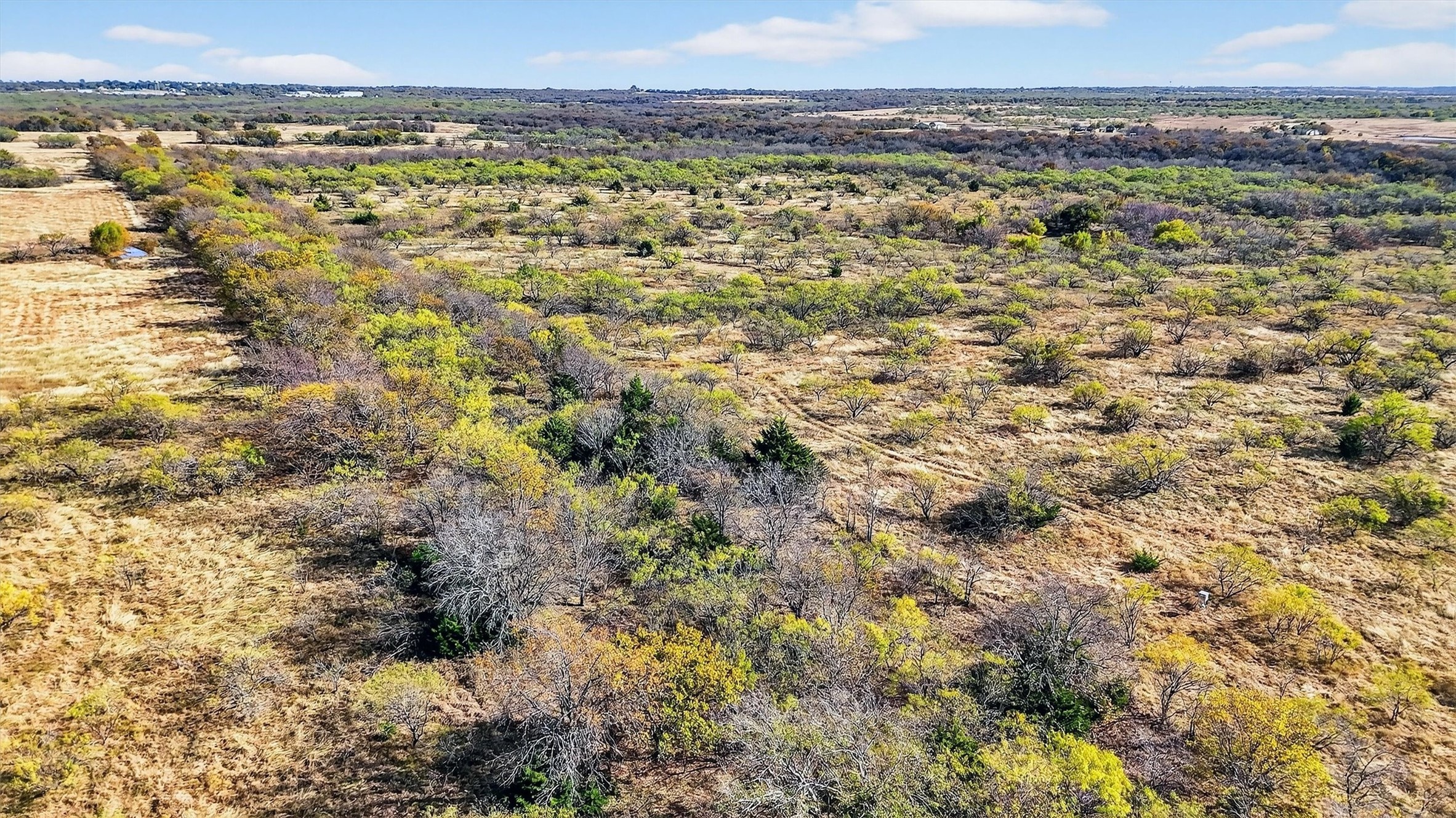 Tbd 195.55 Acres State Highway 56 Southmayd TX 76268
