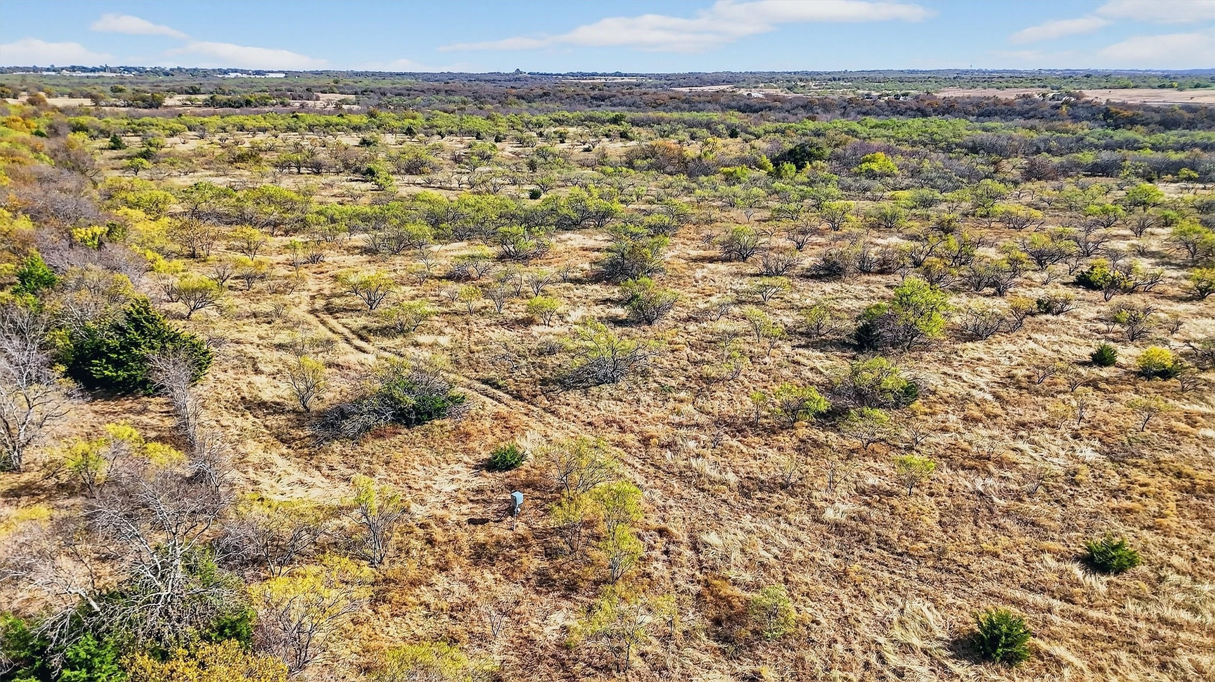 Tbd 195.55 Acres State Highway 56 Southmayd TX 76268