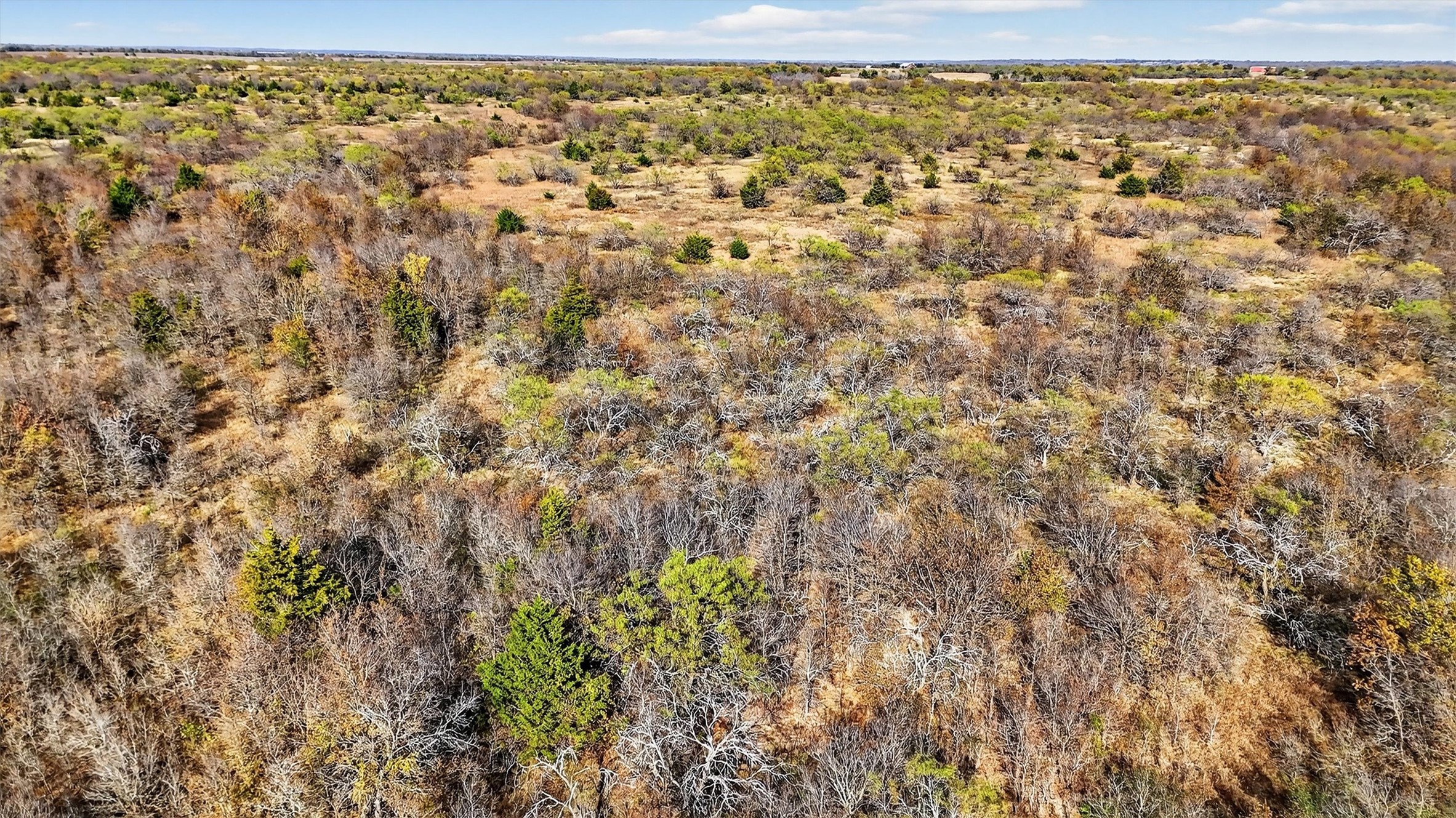 Tbd 195.55 Acres State Highway 56 Southmayd TX 76268