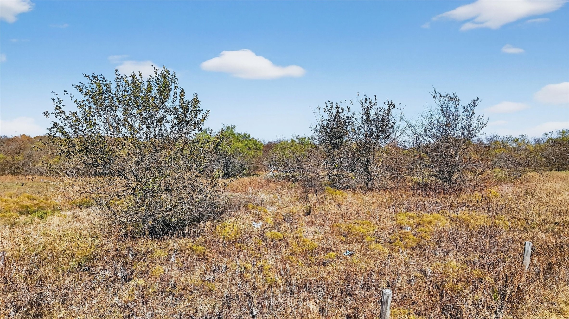 Tbd 195.55 Acres State Highway 56 Southmayd TX 76268