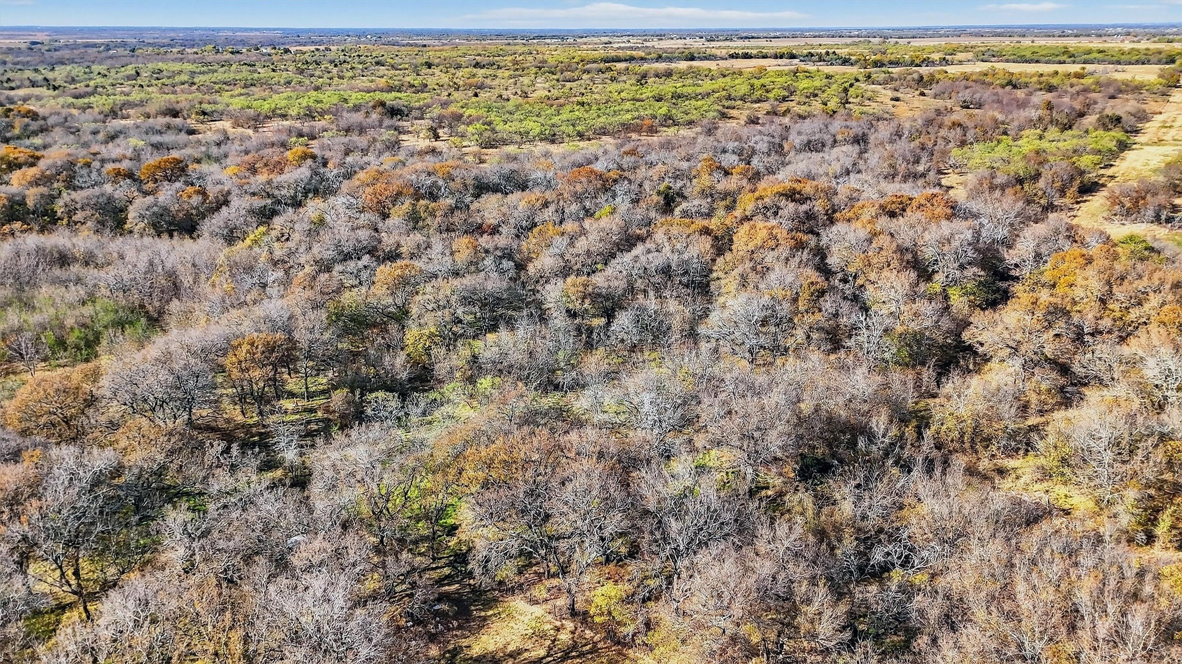 Tbd 195.55 Acres State Highway 56 Southmayd TX 76268