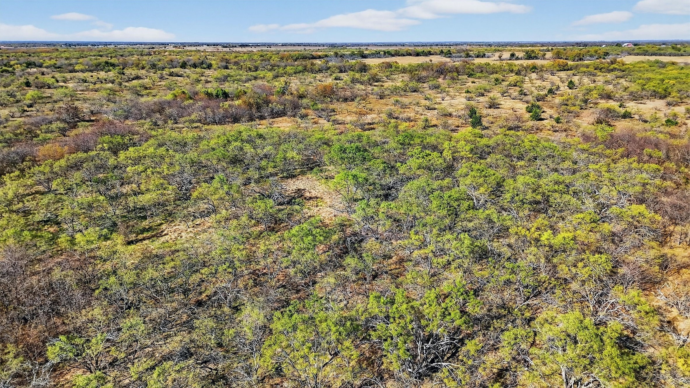 Tbd 195.55 Acres State Highway 56 Southmayd TX 76268