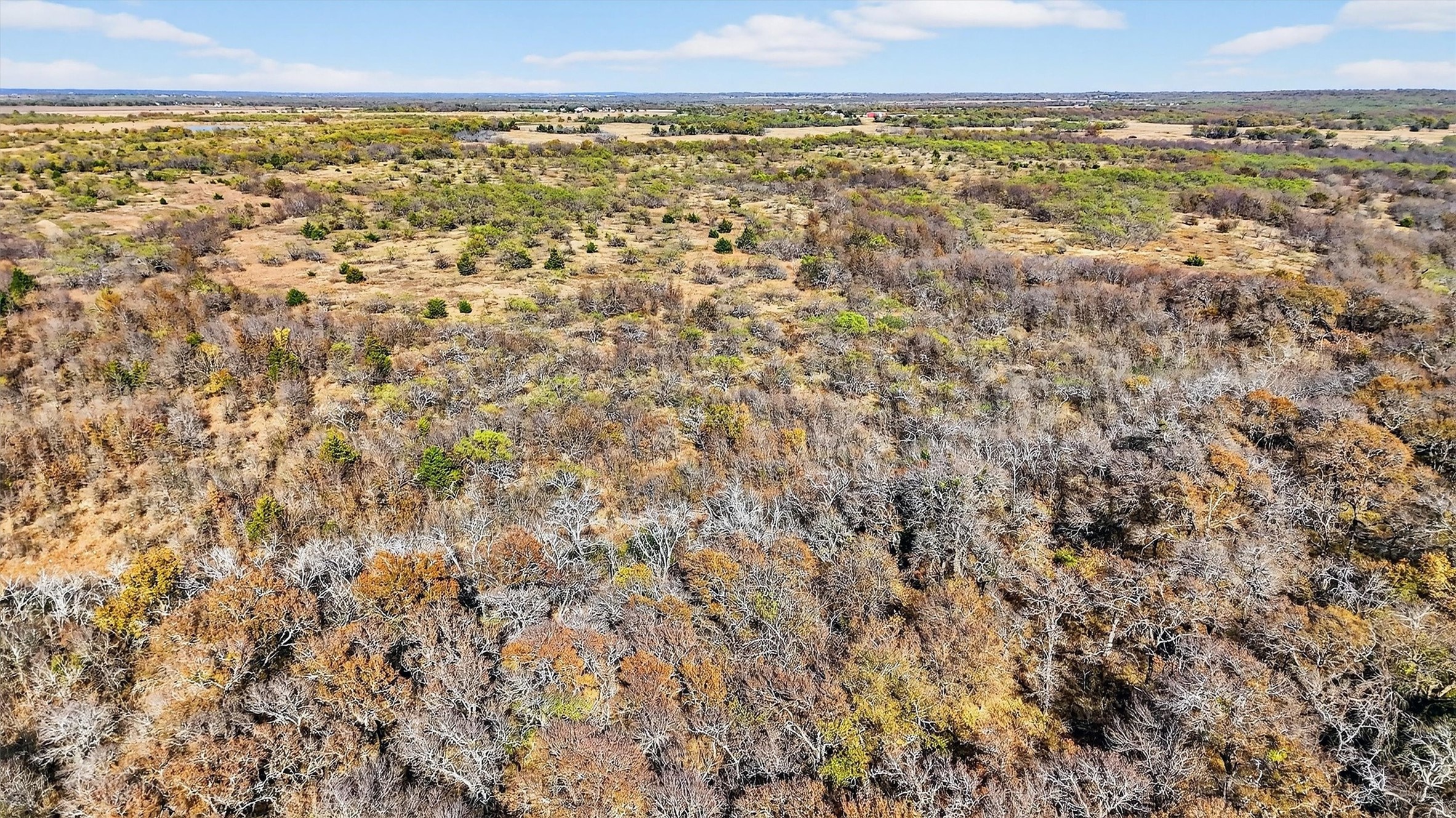 Tbd 195.55 Acres State Highway 56 Southmayd TX 76268