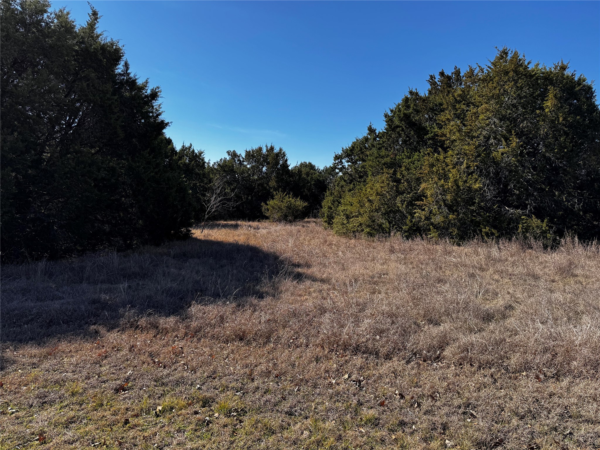 43096 Coneflower Whitney TX 76692