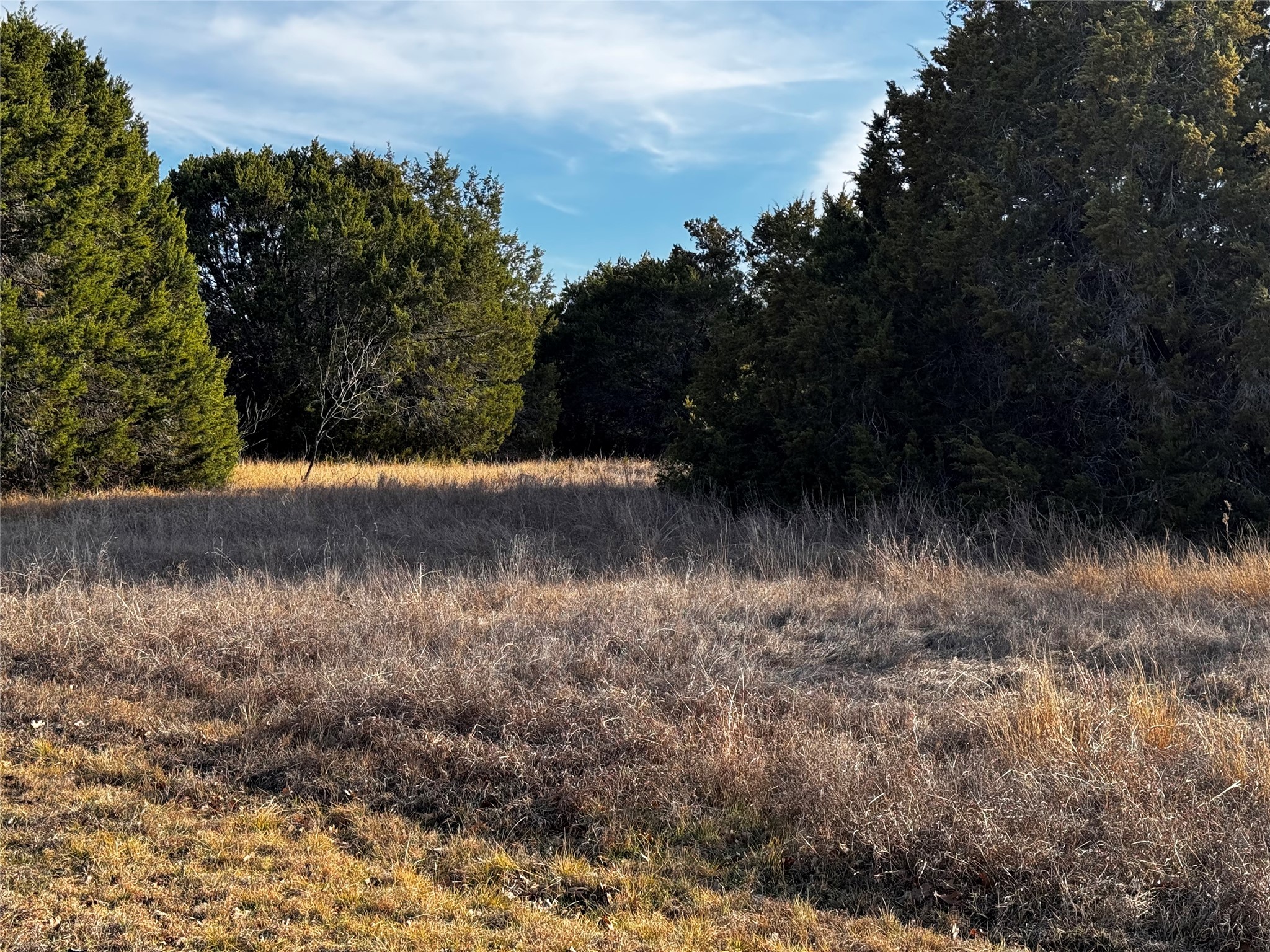 43096 Coneflower Whitney TX 76692