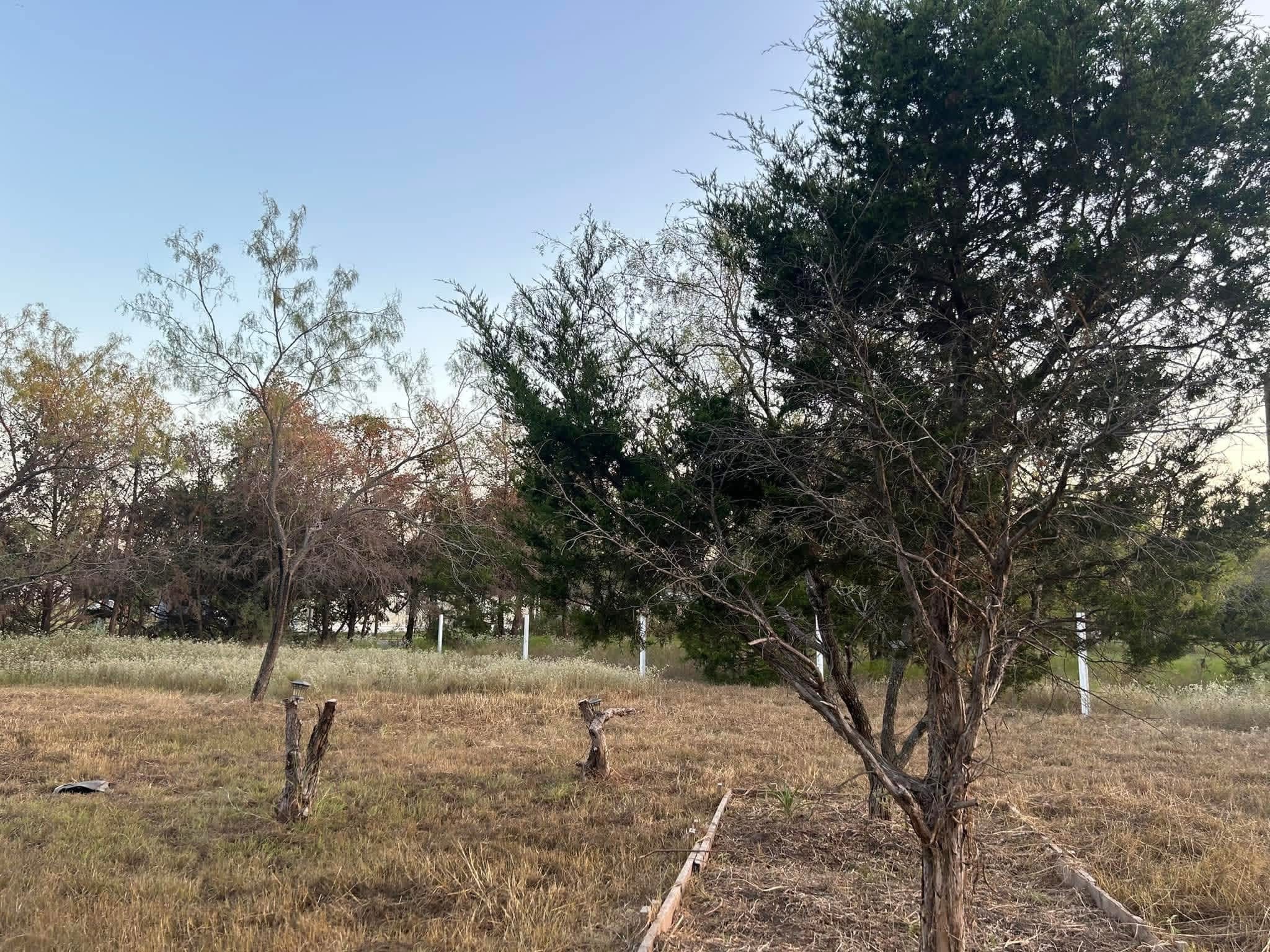 16550 NW County Road 3120 Purdon TX 76679