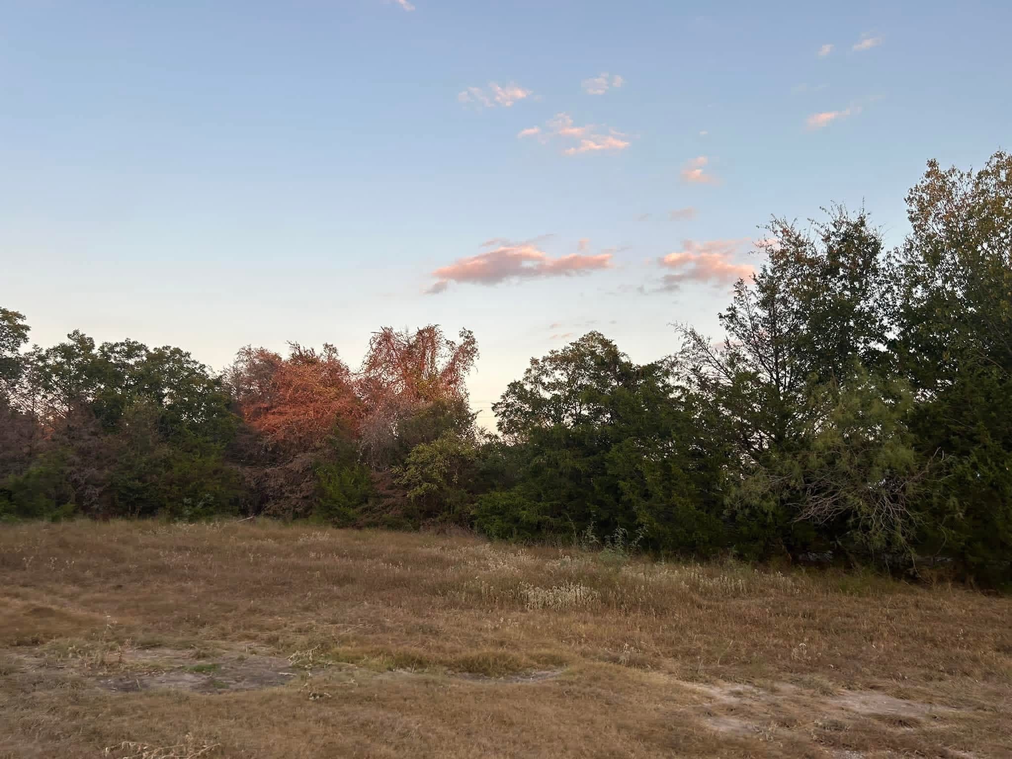 16550 NW County Road 3120 Purdon TX 76679