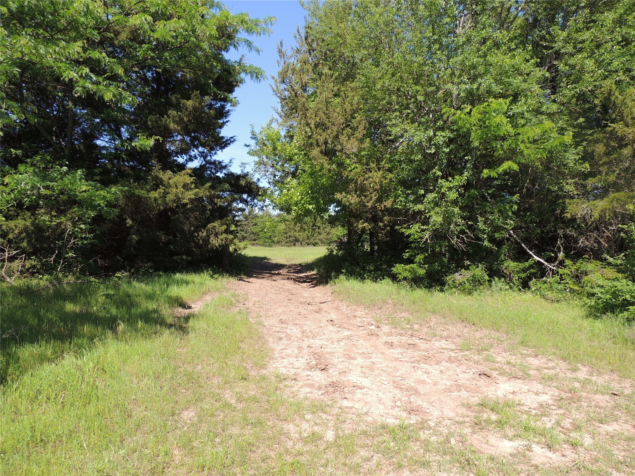 9324 Fm 898 Whitewright TX 75491