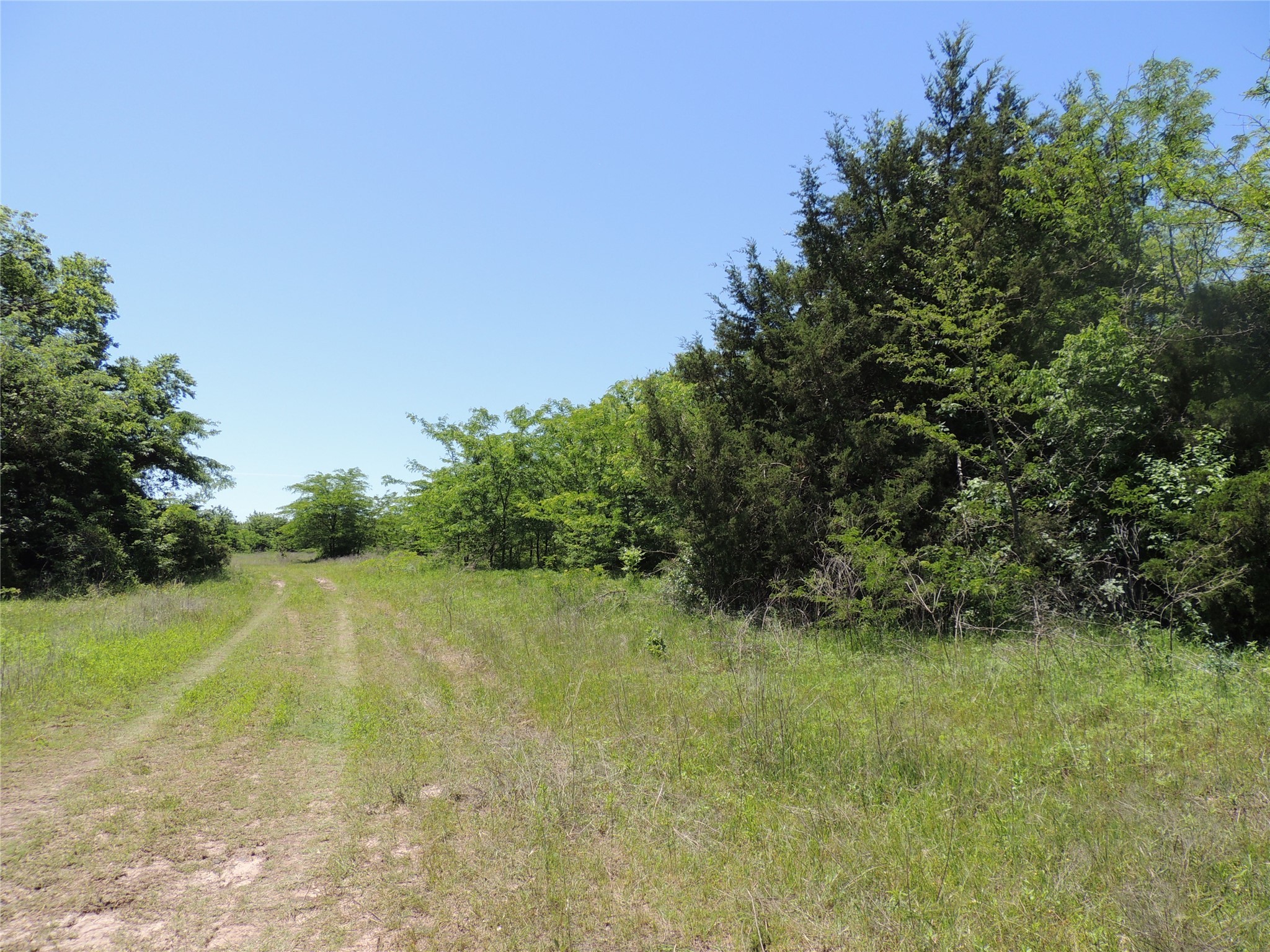 9324 Fm 898 Whitewright TX 75491