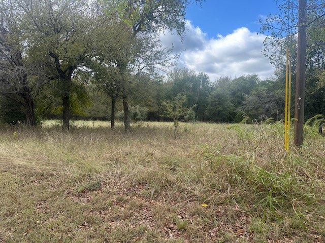 1545 White Bluff Drive Whitney TX 76692