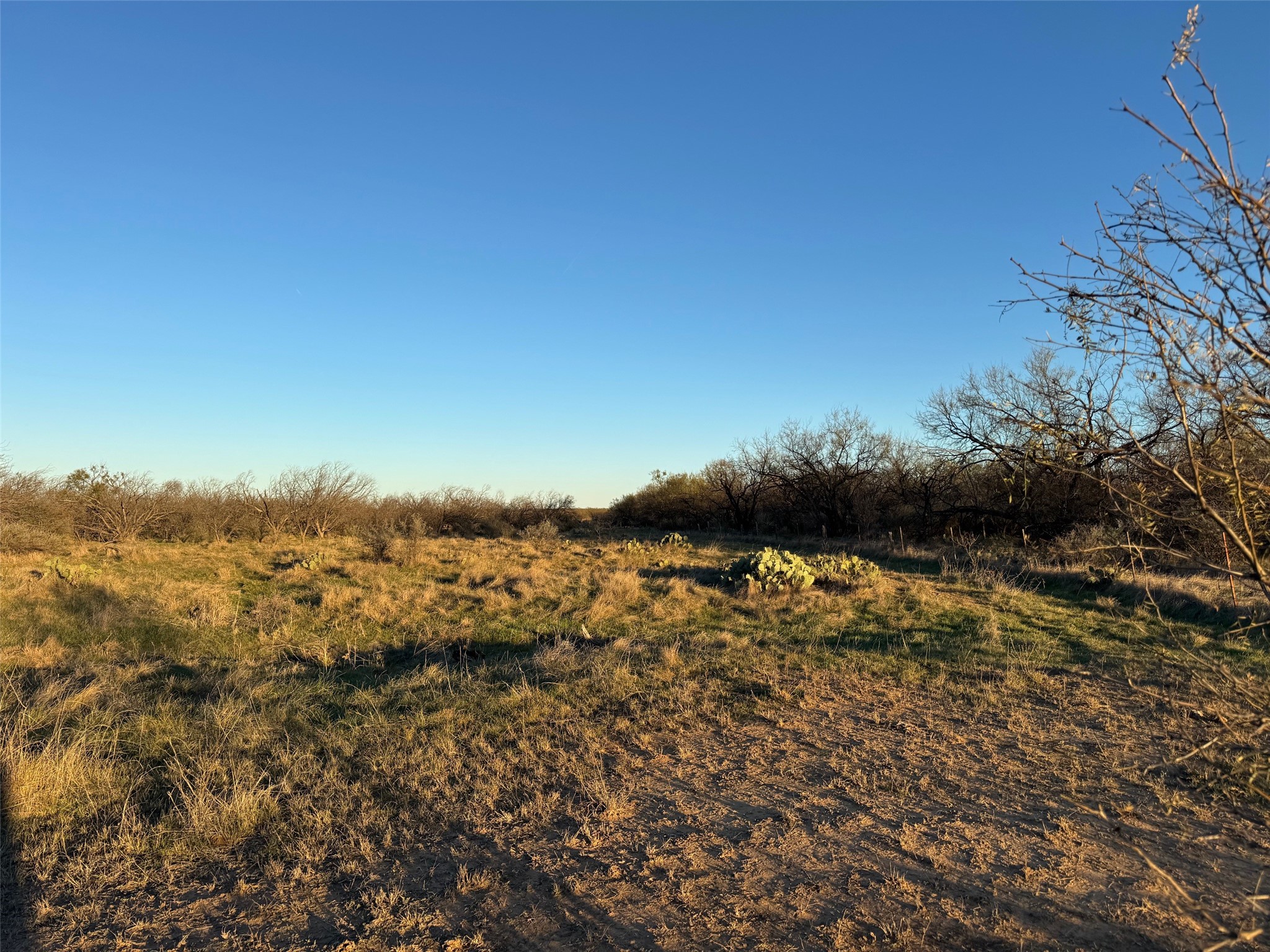 1240 Fm 2312 Moran TX 76464