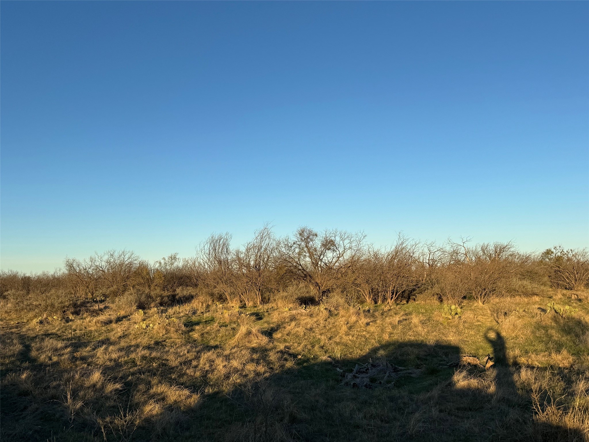 1240 Fm 2312 Moran TX 76464