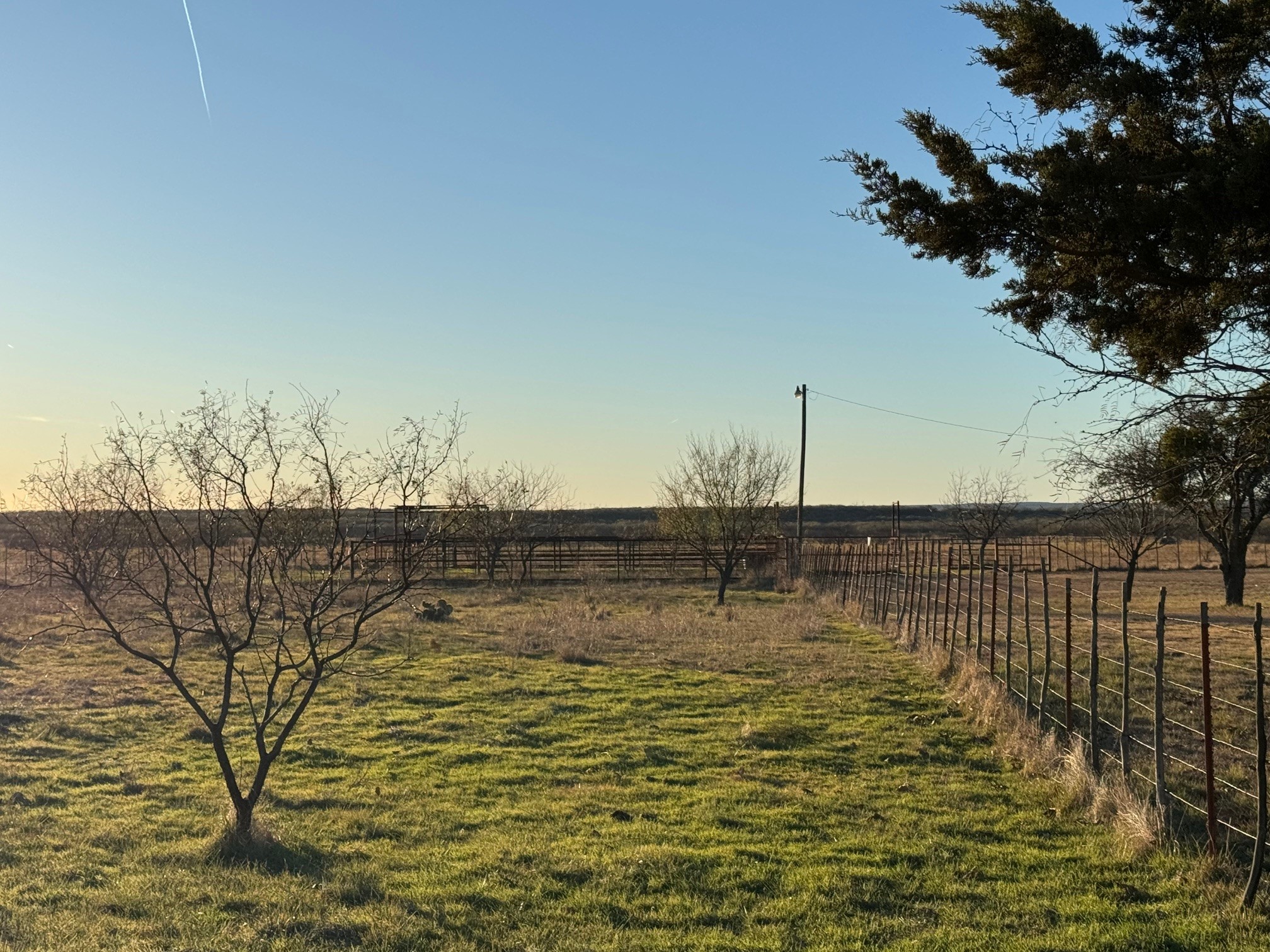 1240 Fm 2312 Moran TX 76464