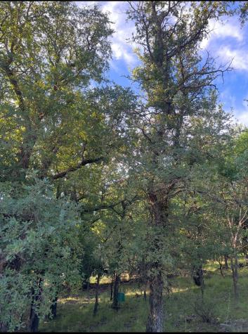 Lot 707 S Lakes Drive May TX 76857