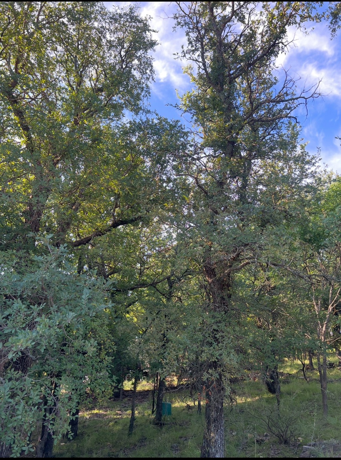 Lot 707 S Lakes Drive May TX 76857