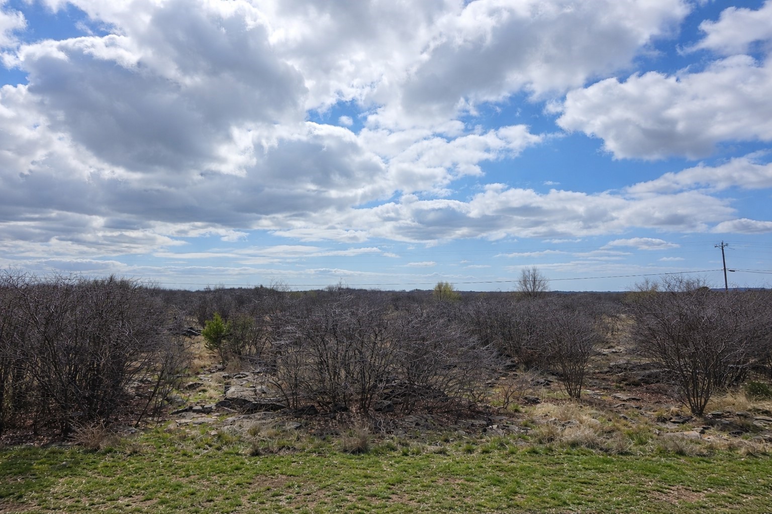 675 Spyglass Drive Graford TX 76449