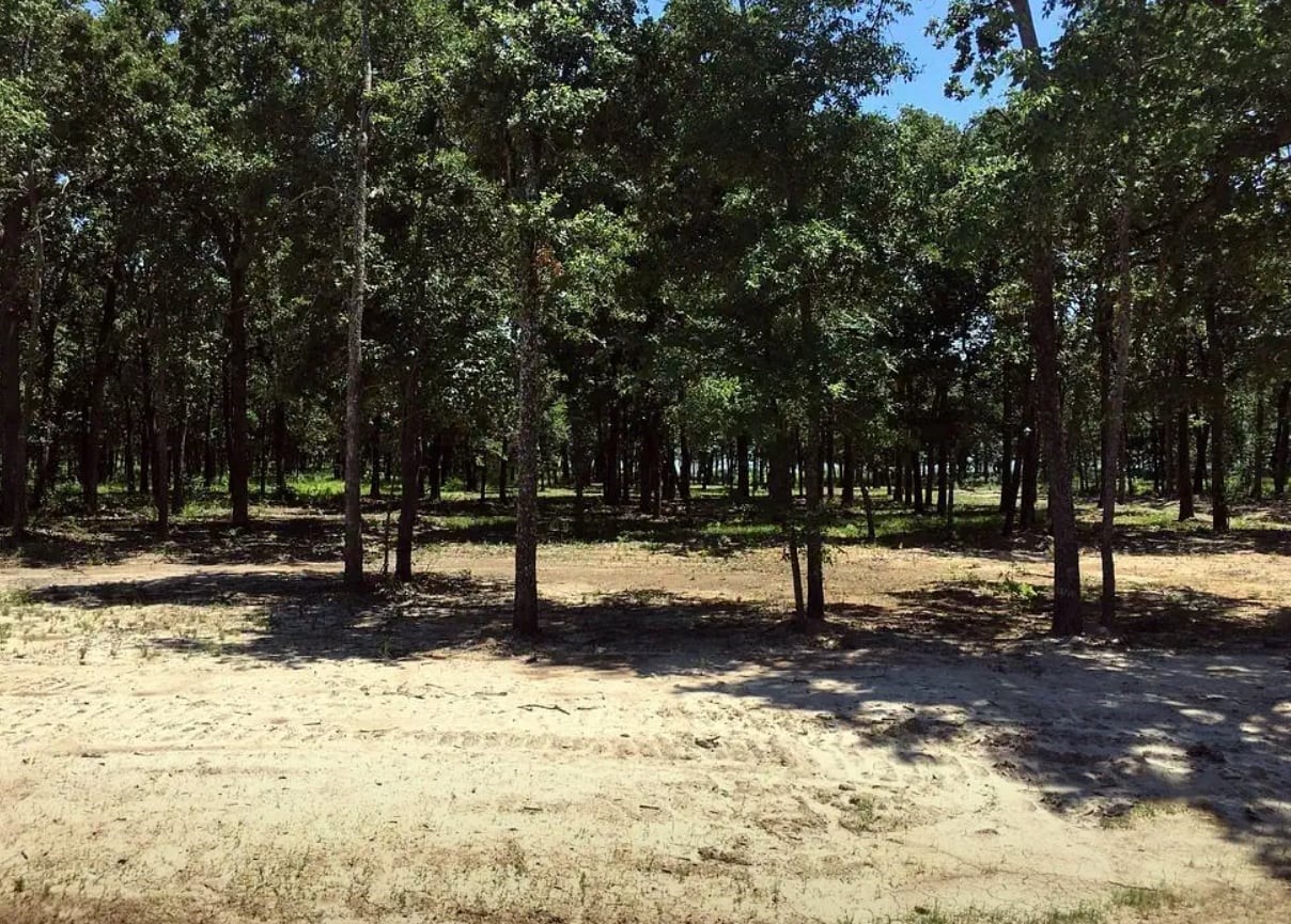 7375 Open Water Point Quinlan TX 75474