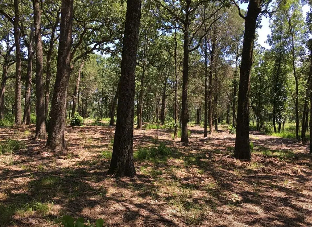 7375 Open Water Point Quinlan TX 75474