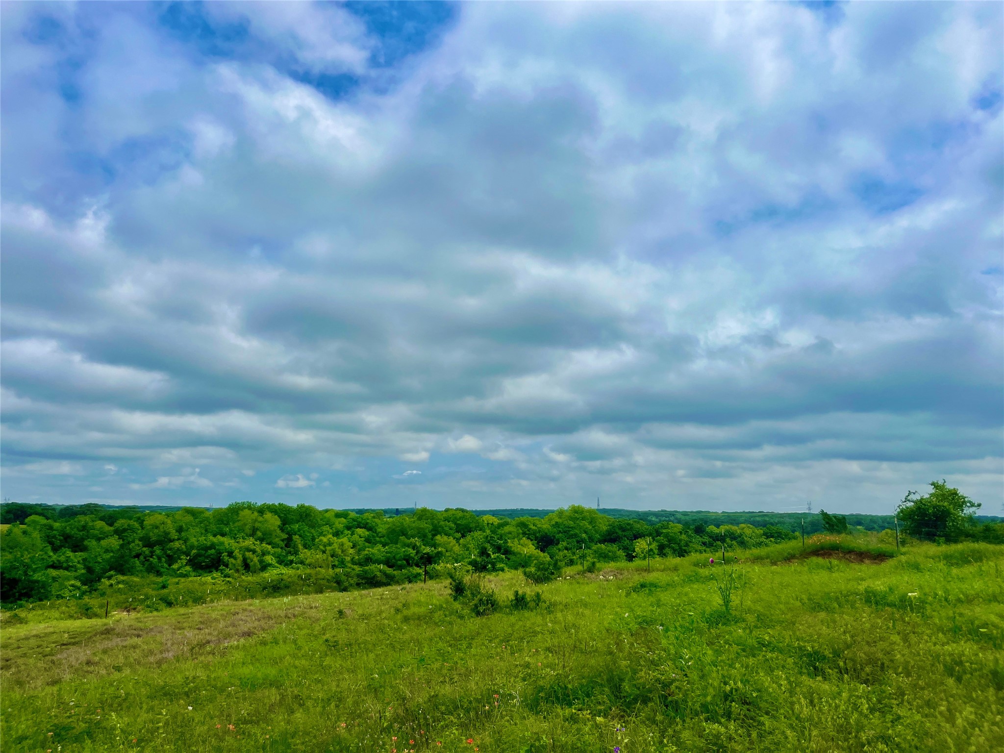 Lot 9 Clare Road Poolville TX 76487