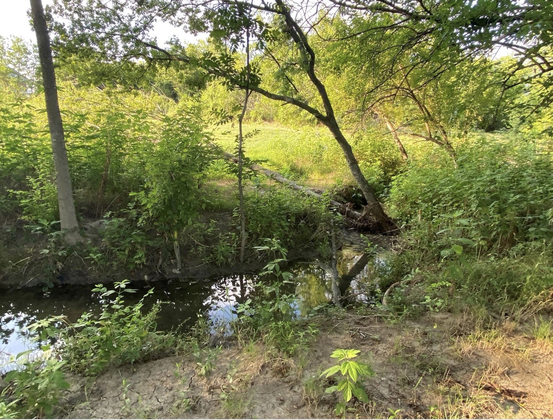 11395 County Road 535 Lavon TX 75166