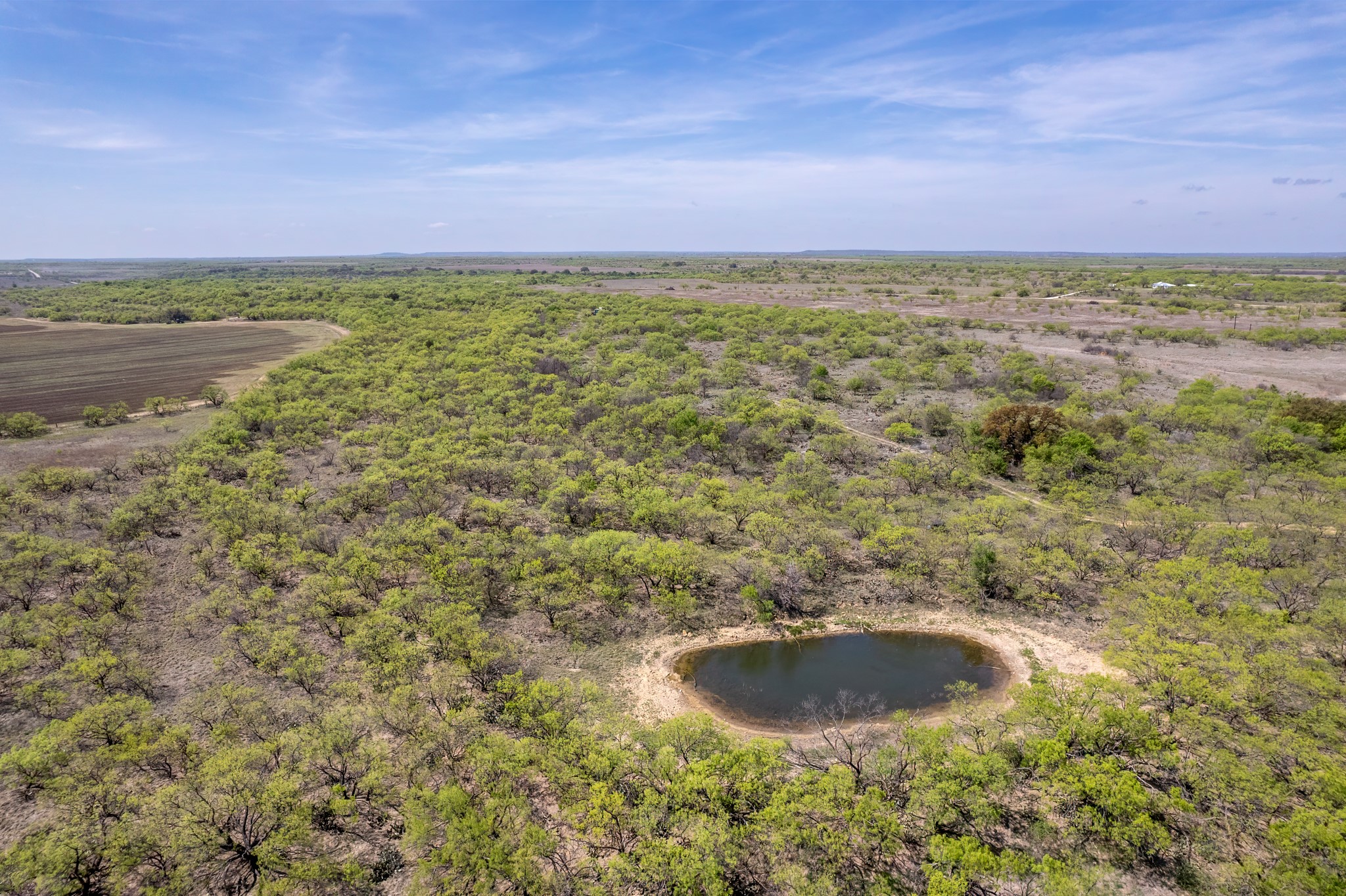 Tbd County Road 464 Coleman TX 76834