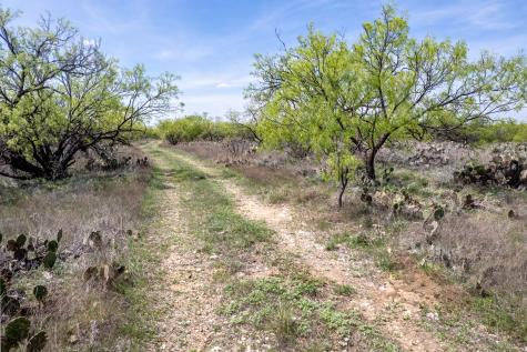 Tbd County Road 464 Coleman TX 76834