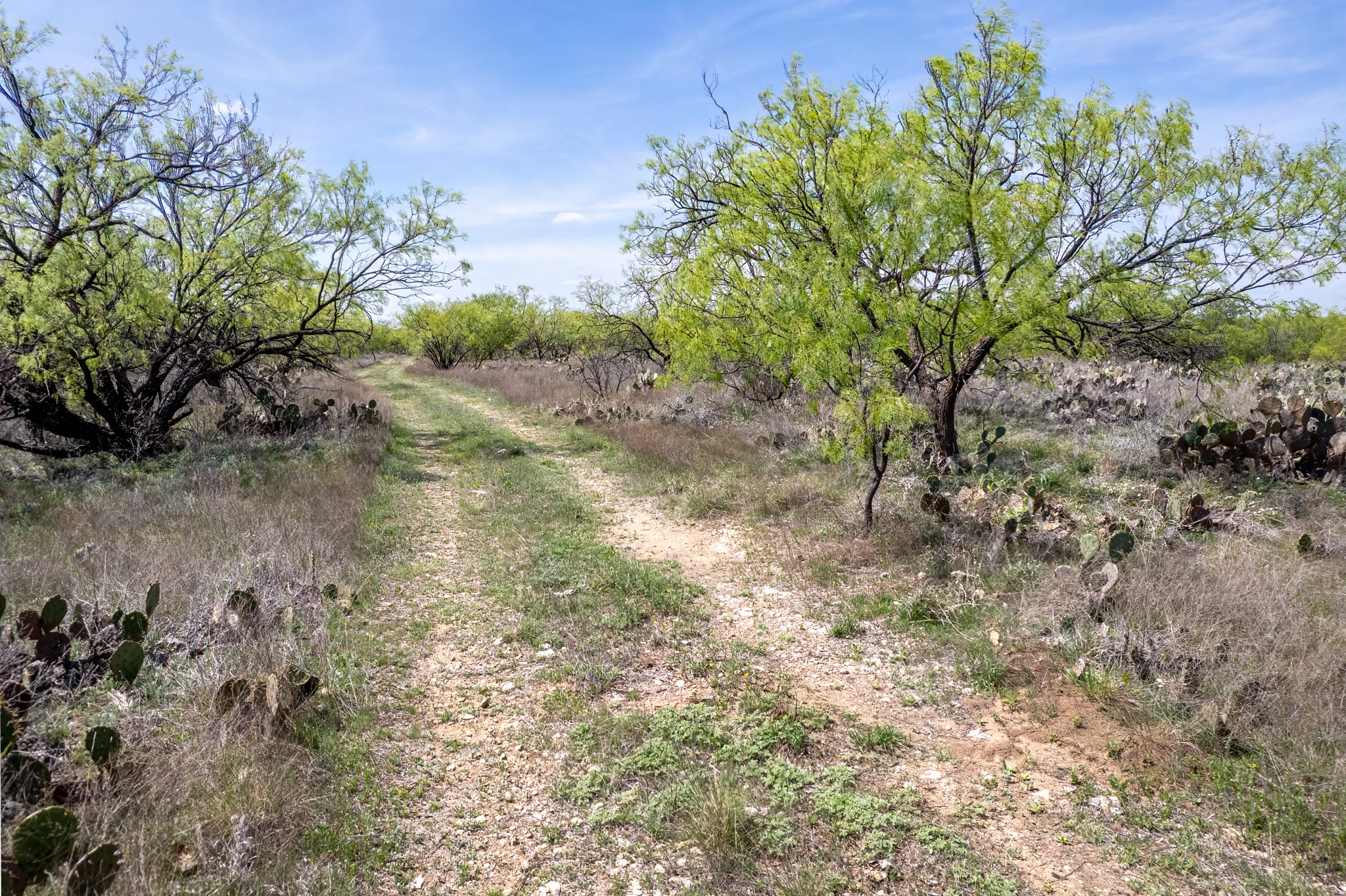Tbd County Road 464 Coleman TX 76834