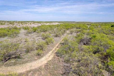 Tbd County Road 464 Coleman TX 76834