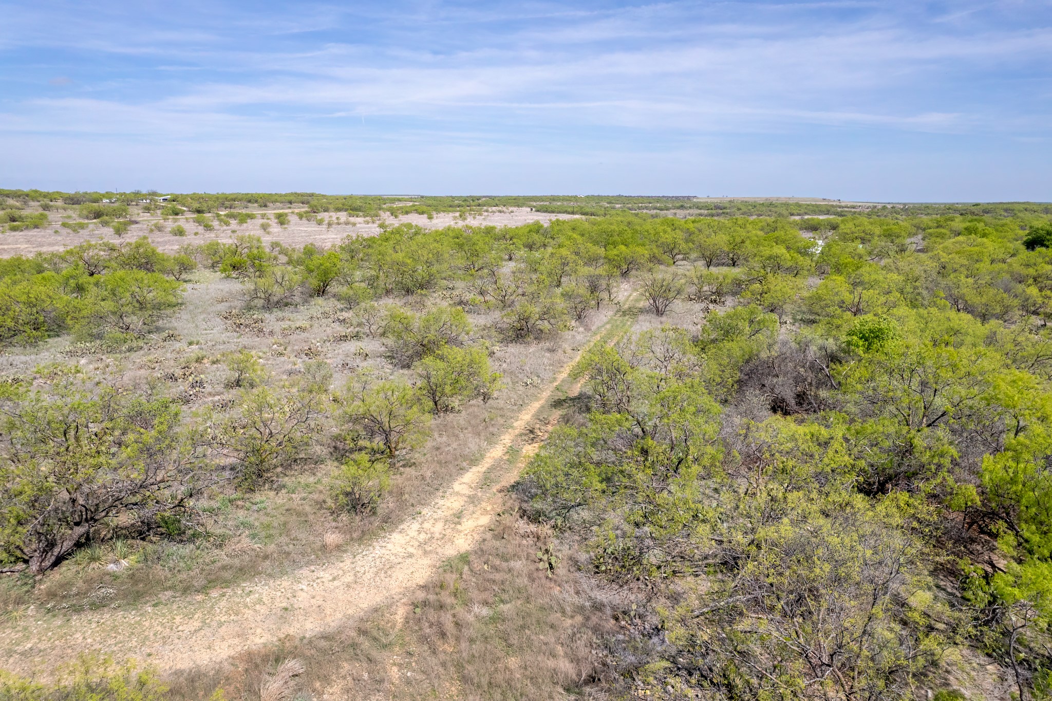 Tbd County Road 464 Coleman TX 76834