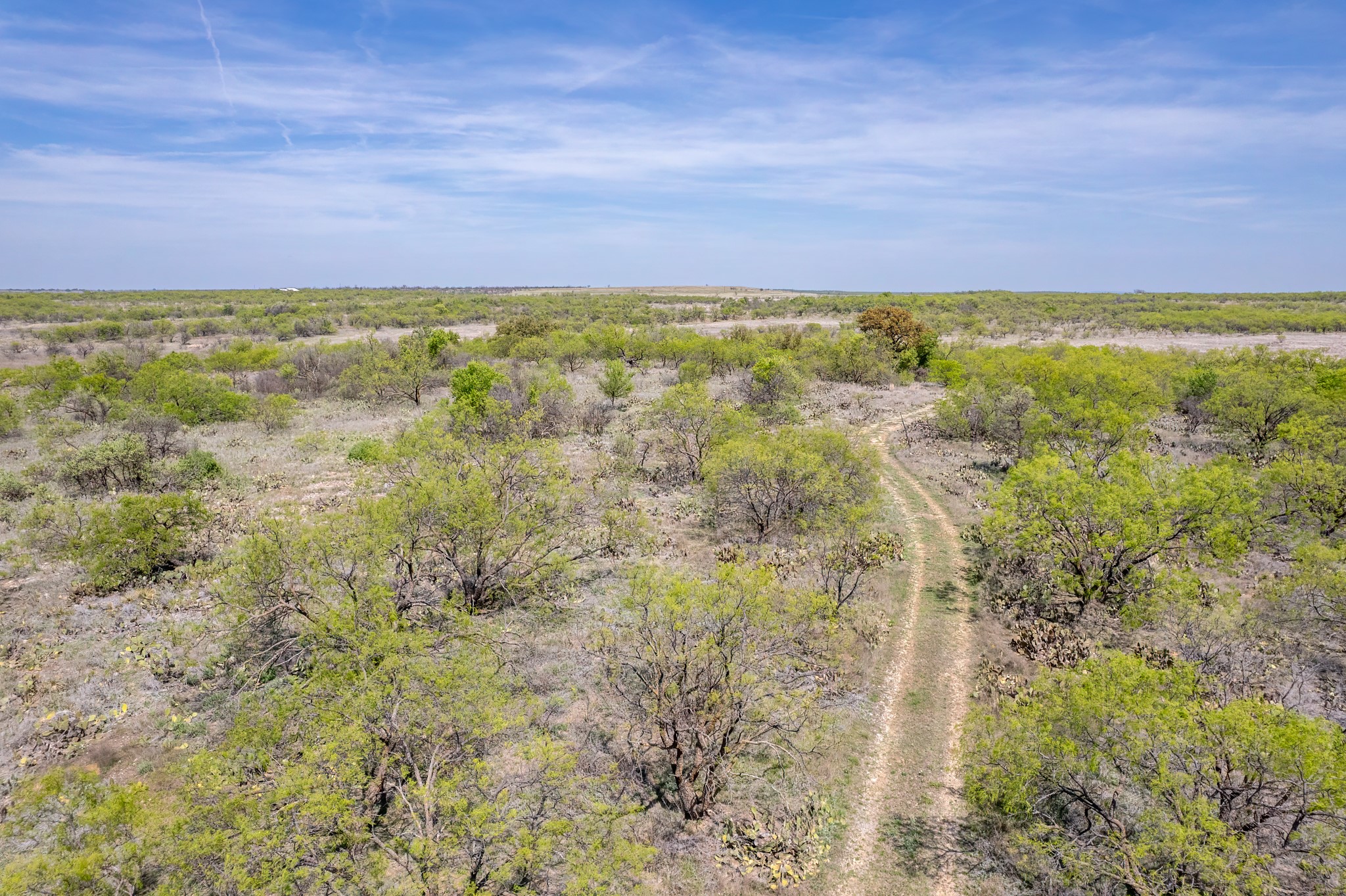 Tbd County Road 464 Coleman TX 76834