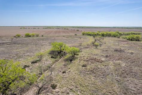 Tbd County Road 464 Coleman TX 76834