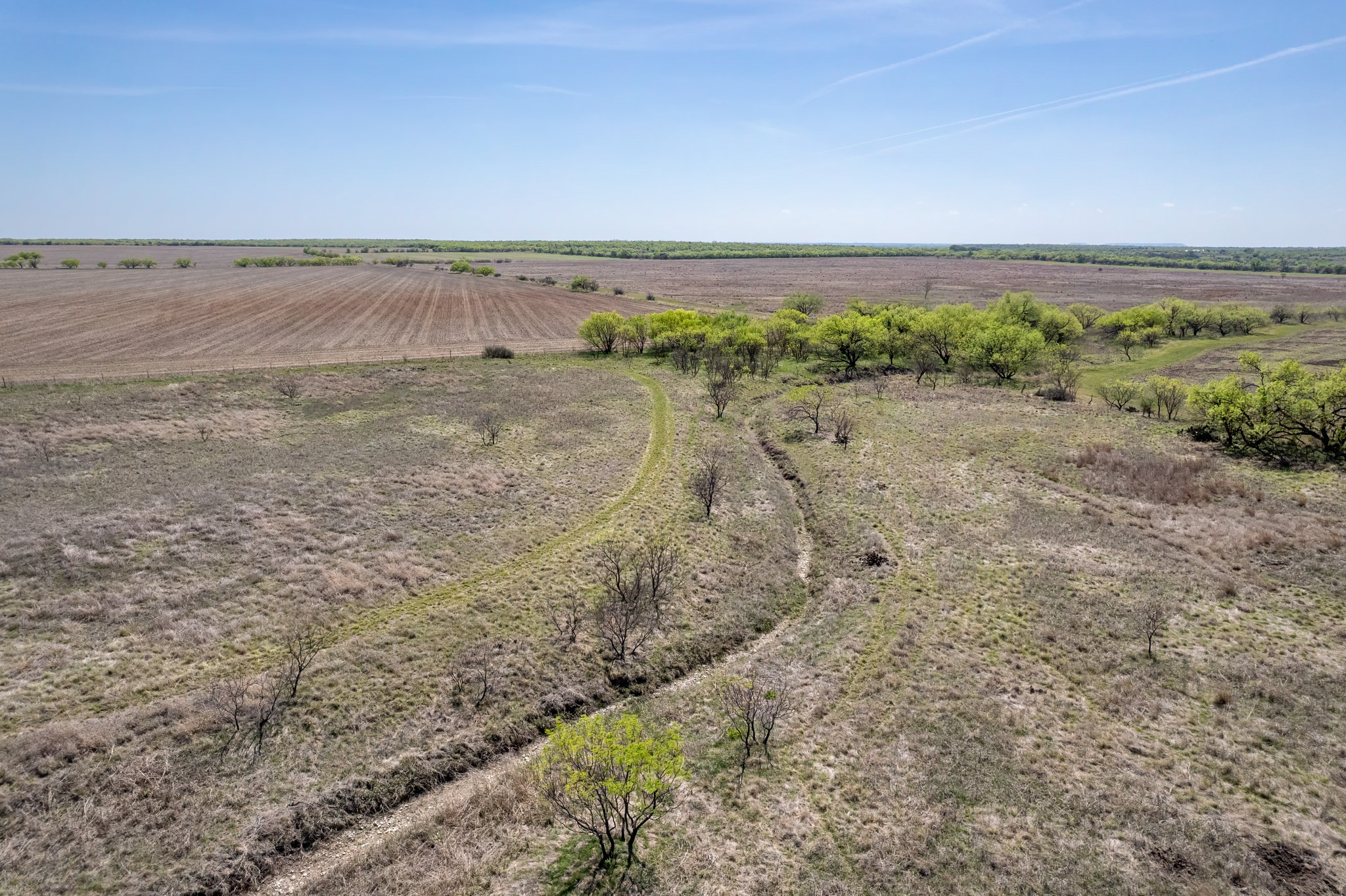 Tbd County Road 464 Coleman TX 76834