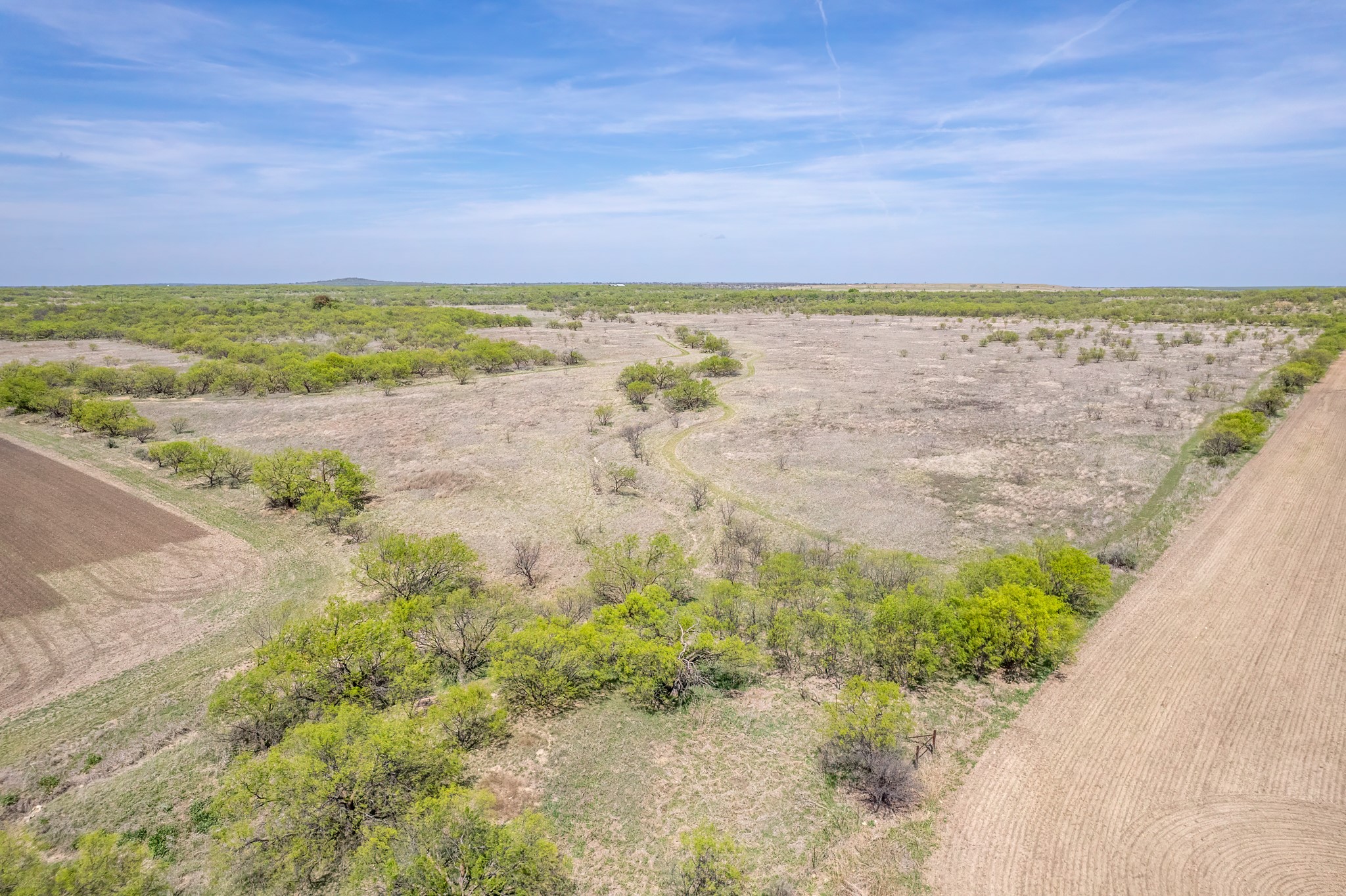 Tbd County Road 464 Coleman TX 76834