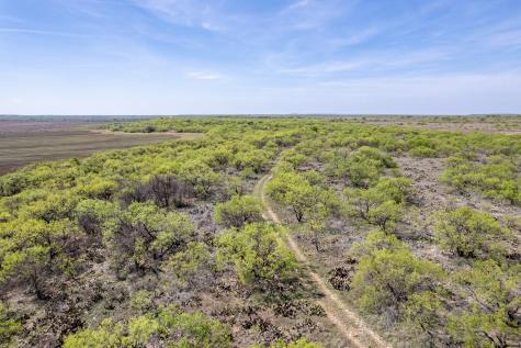 Tbd County Road 464 Coleman TX 76834