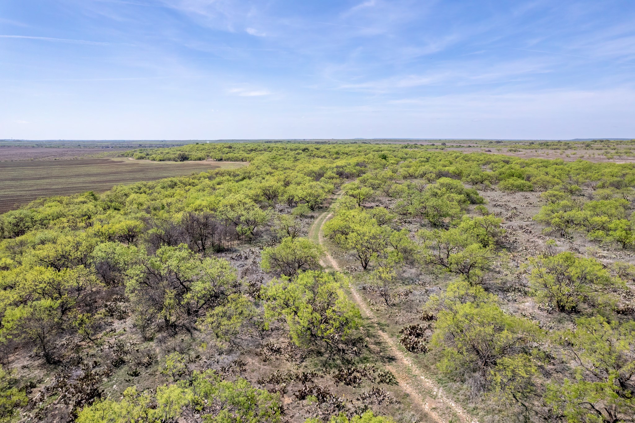 Tbd County Road 464 Coleman TX 76834