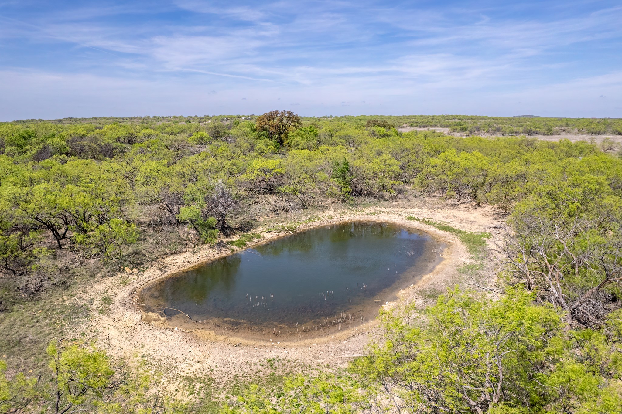 Tbd County Road 464 Coleman TX 76834